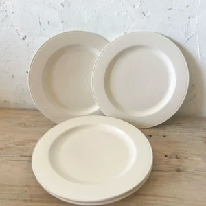 צלחת עיקרית שוליים רחבים